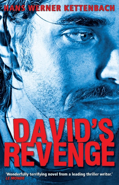 Book cover image for David's Revenge ISBN: 9781904738398